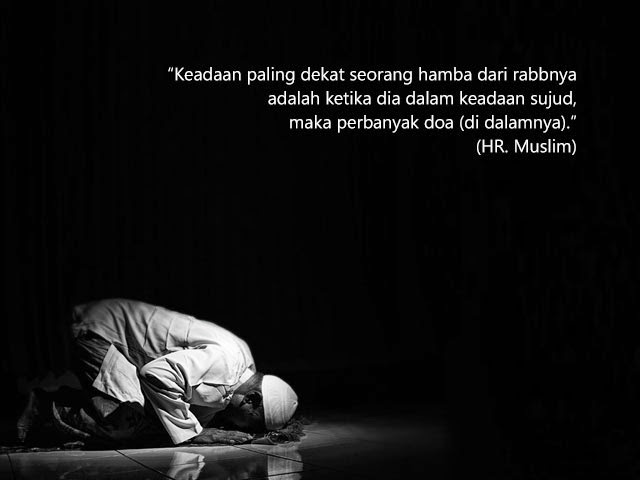 You are currently viewing Oase IPTA No. 19 (Buletin Kesembilanbelas)